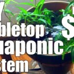 The Ultimate Guide to the Best Aquaponics Setup for Ithaca